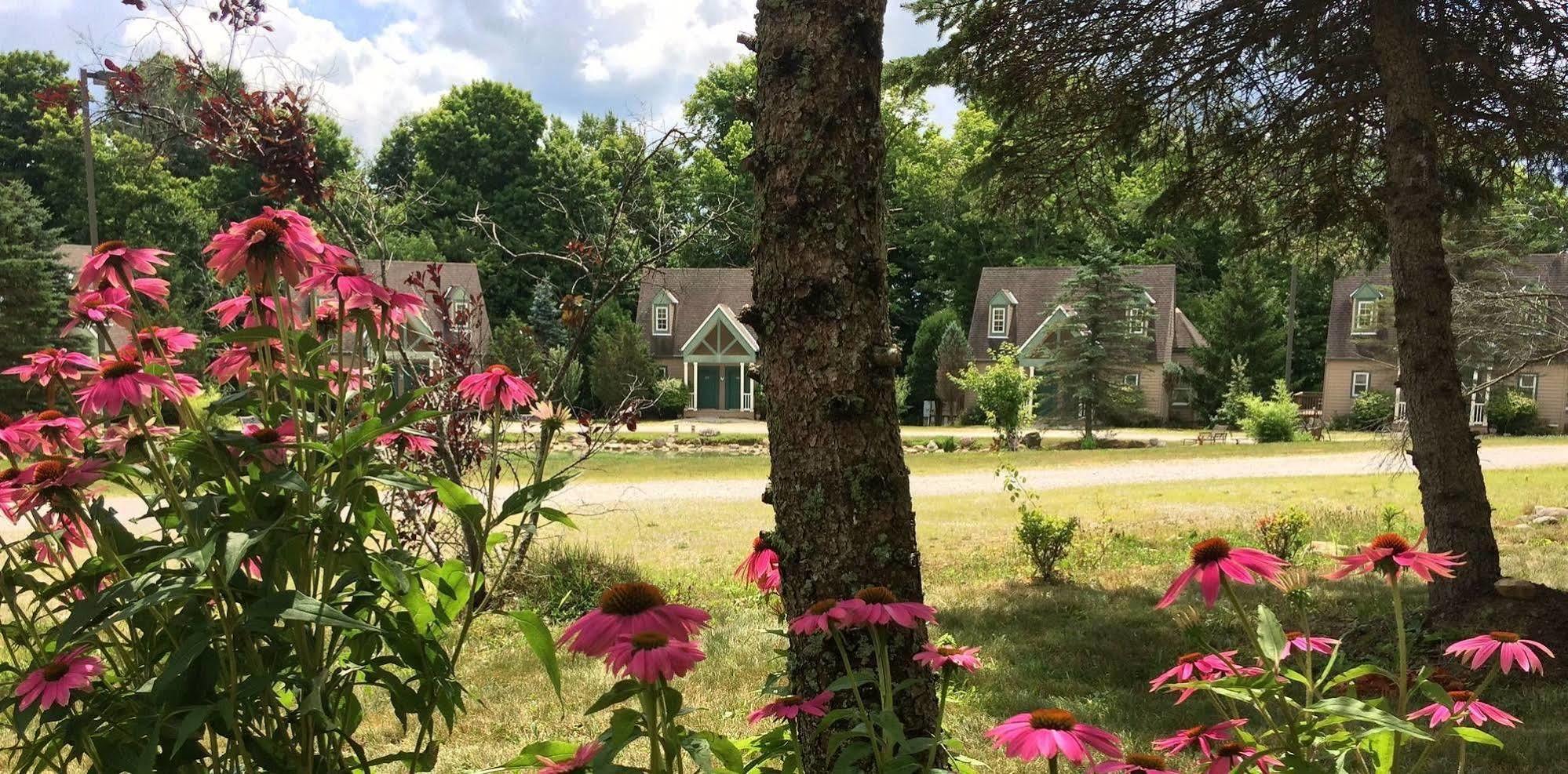 Spruce Hill Inn & Cottages Мансфийлд Екстериор снимка